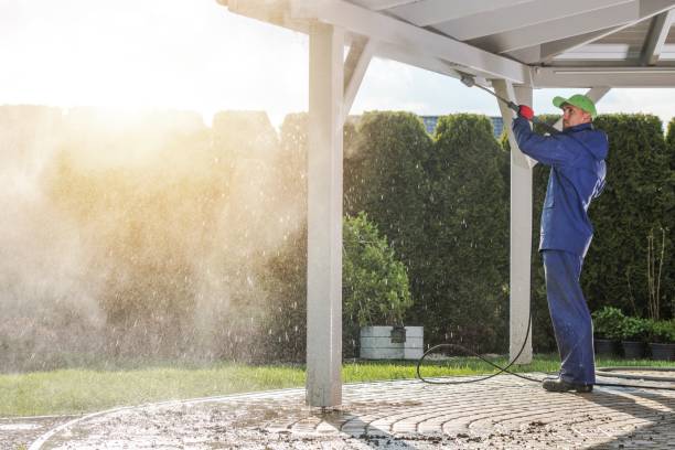 Best Sidewalk and Walkway Cleaning  in Oak Park, CA