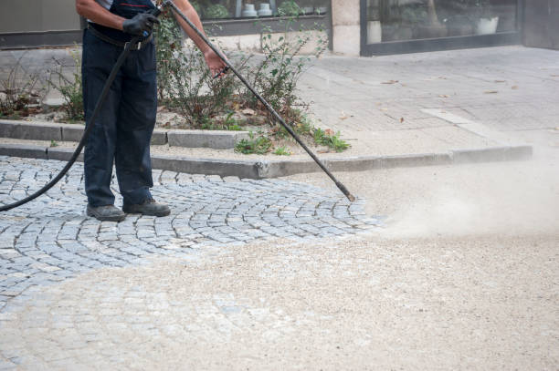 Best Dumpster Area Cleaning  in Oak Park, CA