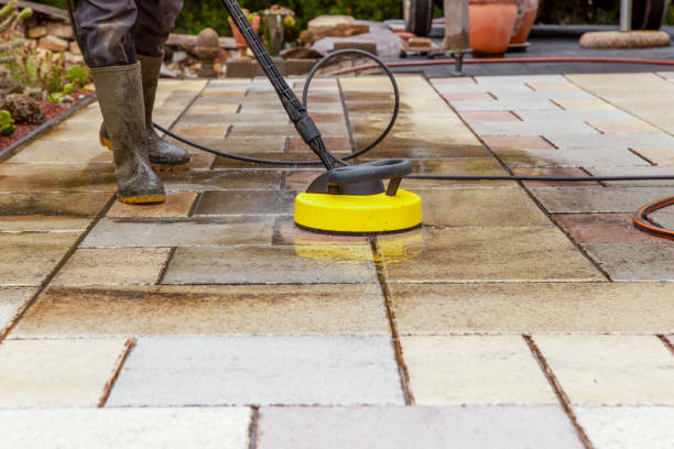 Best Roof Washing  in Oak Park, CA