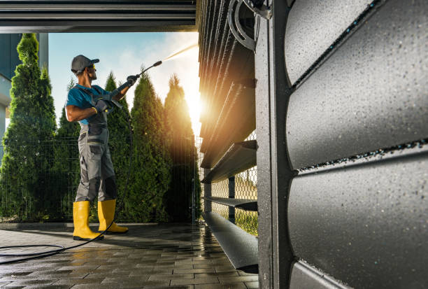 Best Graffiti Removal  in Oak Park, CA